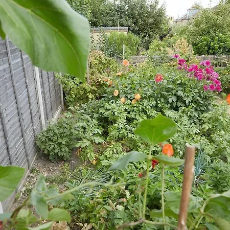 Beechhill House - London * Eltham