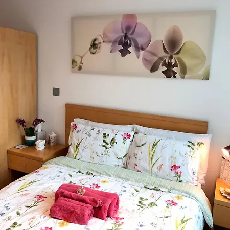 Cosy Private With Private Bathroom In A River View Flat Privat bolig London