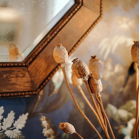The Black Lion Pub & Boutique 3* London
