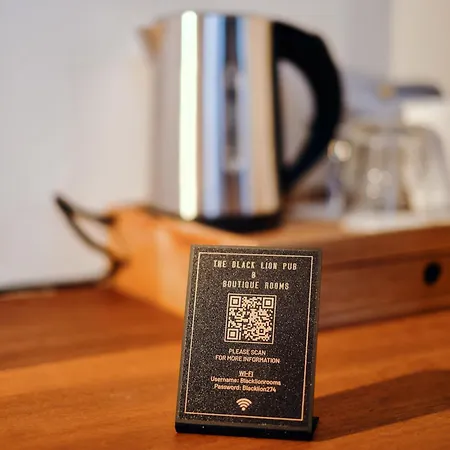 The Black Lion Pub & Boutique 3* London