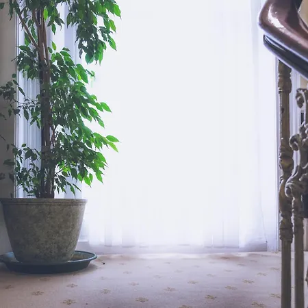 Hotel Shakespeare Londra