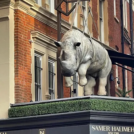 Luxury Knightsbridge Outside Harrods * London