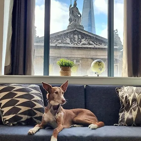 Shard View
