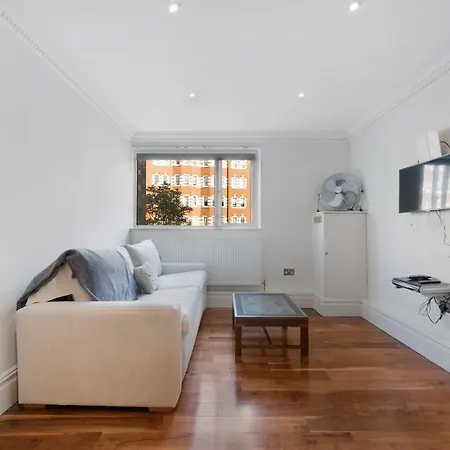 Delux 1 Bd Regents Park Nw8 公寓 伦敦