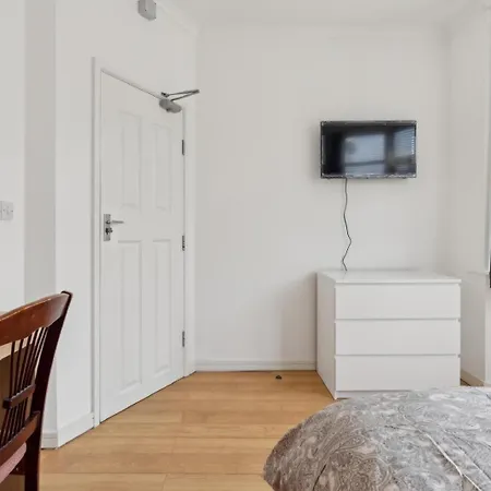 Luxurious 11 Homestay London