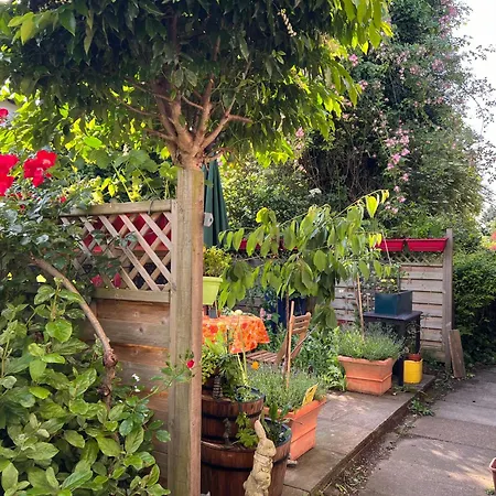 Unique Beautiful Peaceful Conservation Area - 20m To Town London
