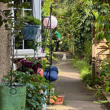 Unique Beautiful Peaceful Conservation Area - 20m To Town * London