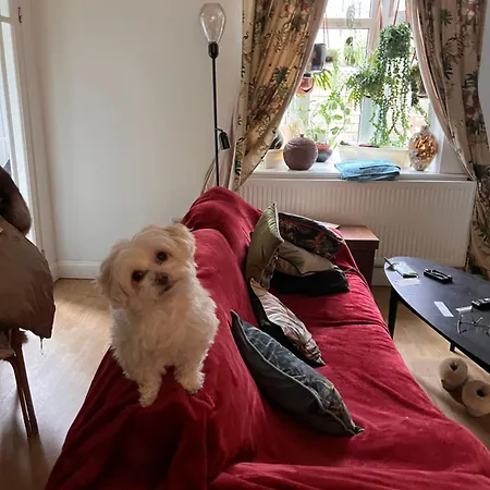 Homestay Unique Beautiful Peaceful Conservation Area - 20m To Town London