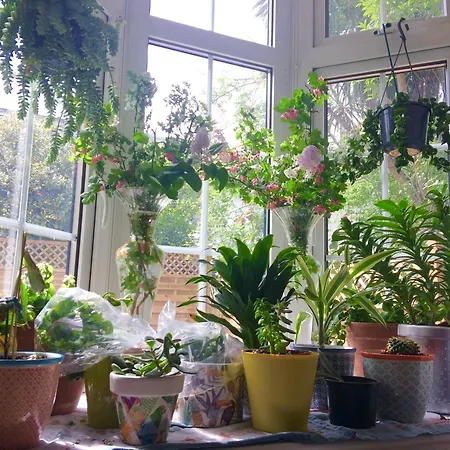 Homestay Unique Beautiful Peaceful Conservation Area - 20m To Town London