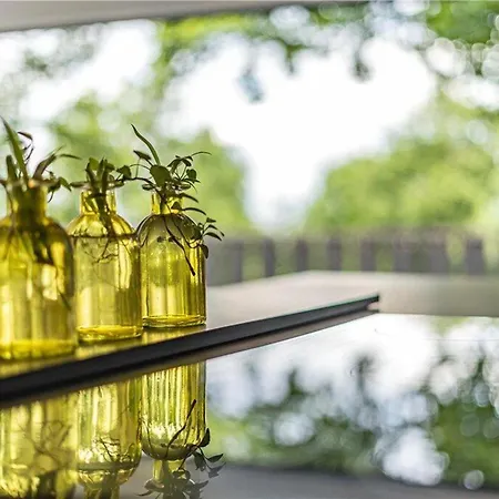Designer With Spa And Magical Views 5 Bdr