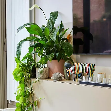 Apartment Stylish Interiors Garden Parking 3brb Flat *