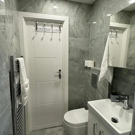 Spacious Double In Greater Homestay London