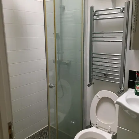 Spacious Duplex Flat London