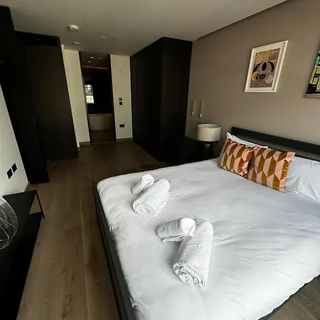 Shoreditch 3 Bed 2 Bath Large Terrace & Park View London