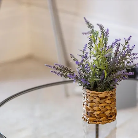 Regent's Square Charming Flat * Londra