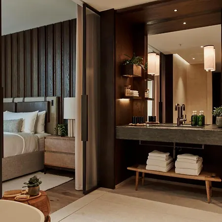 فندق هوليداي إن مايفير 5*