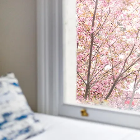 Appartement Cityscape Oasis Chic For Urban Dwellers