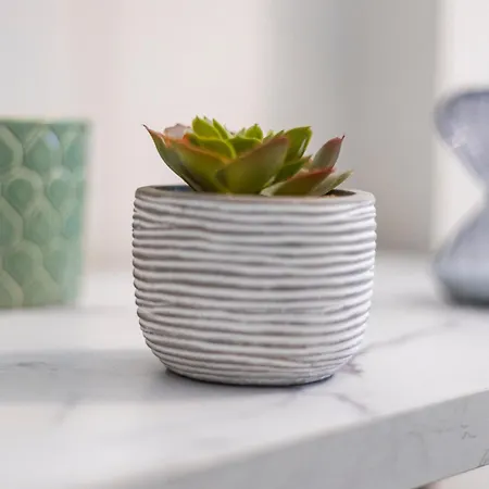 דירה Bright And Airy With Minimalist Charm