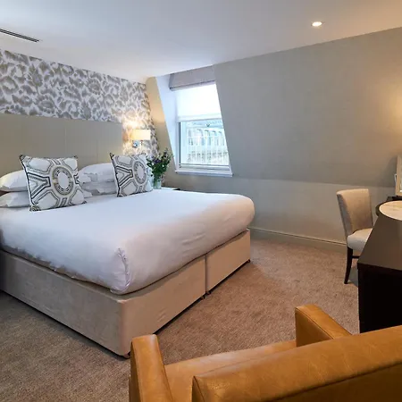 Cheval Calico House Londres
