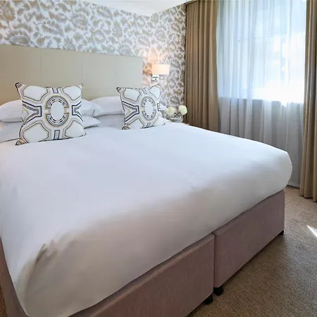 Cheval Calico House Londres