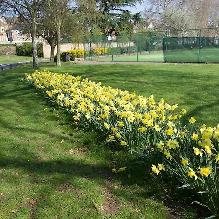 Glorious View Over The Park Apartment London