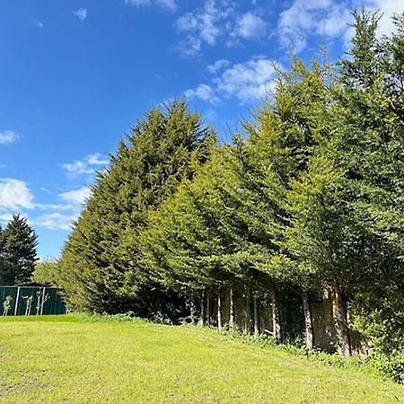 Restful Break 2 Bedrooms Woods Close To Hiking Park Caves * Chislehurst