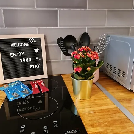 Apartment Cosy With Kitchenette And Private Bathroom - 15mins To London!