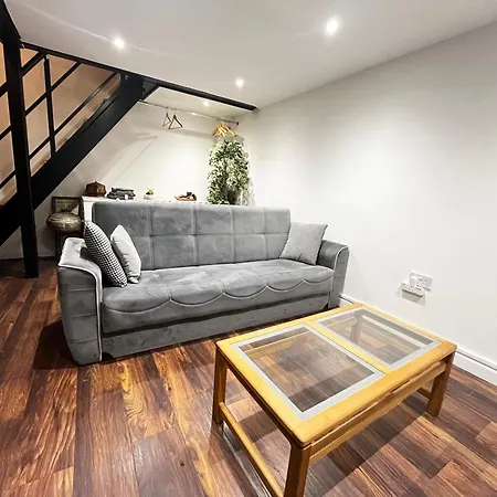 Apartment House With Garden Stoke Newington London