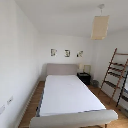 Amazing 2 Bedroom Flat In E20 伦敦