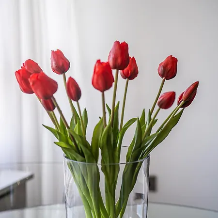 High Steet Kensington Penthouse Apartment London