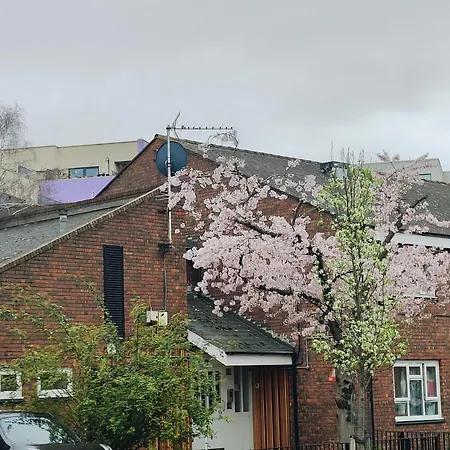 Clifton House O2 & Excel With Private Bathroom And Breakfast Option Bed & Breakfast