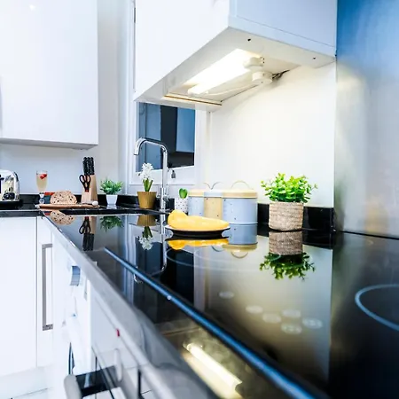 Charming Tooting Hideaway Garden, Resident Parking, Near Tooting Hospital Apartment London
