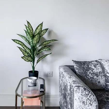 Modern & Cosy Flat In Kingston *