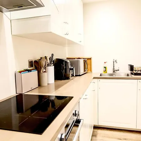 Luxury Newly Refurbished Chelsea Garden Flat Apartment London