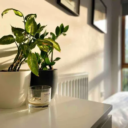 Beautiful Bright 3-bed Next To Station