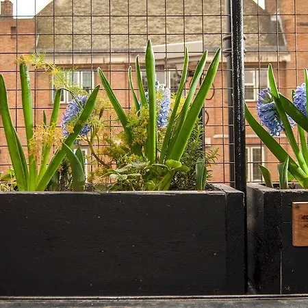 The Dictionary Hostel, Shoreditch, Ostello Londra