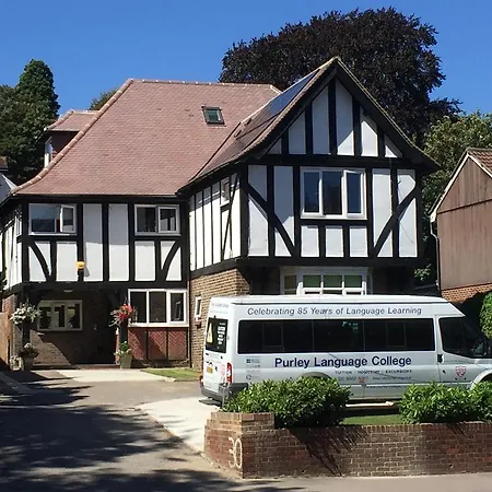 Hazel 3* Purley