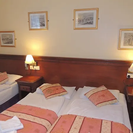 Hotel Dolphin 3*