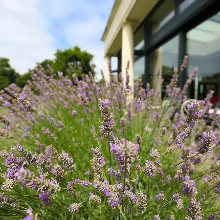 Hotel Du Vin Cannizaro House Wimbledon