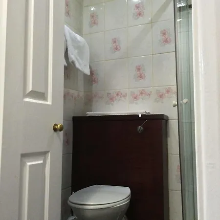 伦敦洲际酒店 酒店 伦敦