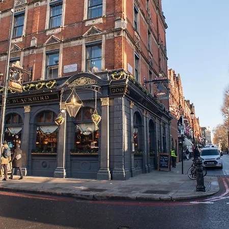 Hotel Blackbird 4*