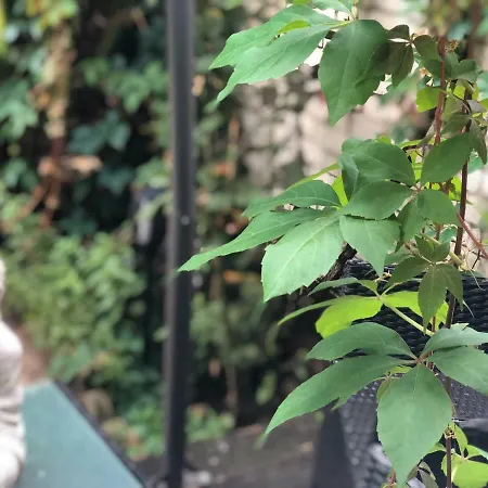 Chelsea Private Garden Maisonette Apartment London
