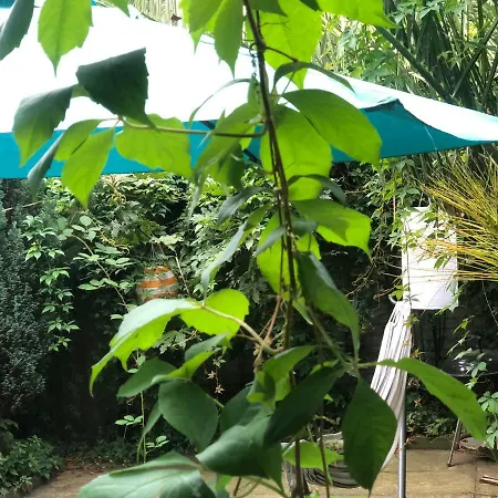 Chelsea Private Garden Maisonette Apartment London