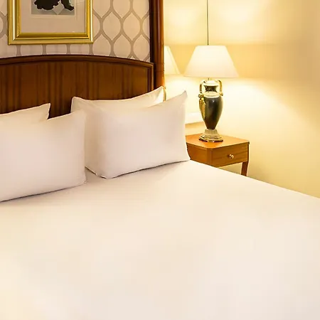 Millennium Knightsbridge Hotel Londra