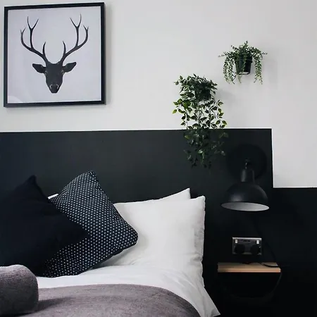 The Dictionary Hostel, Shoreditch, Ostello Londra